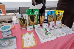 Благотворительный концерт Огни добра в Казани 14 марта 2026 - ОГНИ 0241