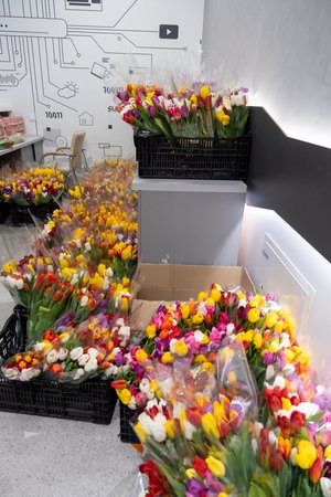 Благотворительный концерт Огни добра в Казани 14 марта 2026 - ОГНИ 1120