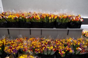 Благотворительный концерт Огни добра в Казани 14 марта 2026 - ОГНИ 1123