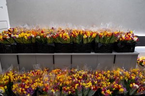 Благотворительный концерт Огни добра в Казани 14 марта 2026 - ОГНИ 1124