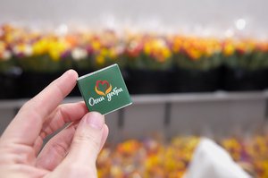 Благотворительный концерт Огни добра в Казани 14 марта 2026 - IMG 8953